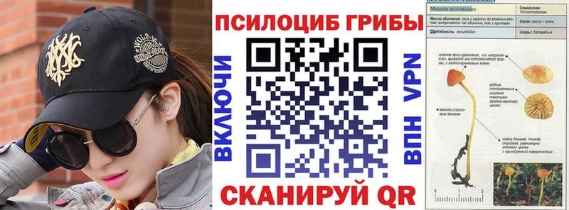hydra зеркало  Белая Холуница  Псилоцибиновые грибы мухоморы 